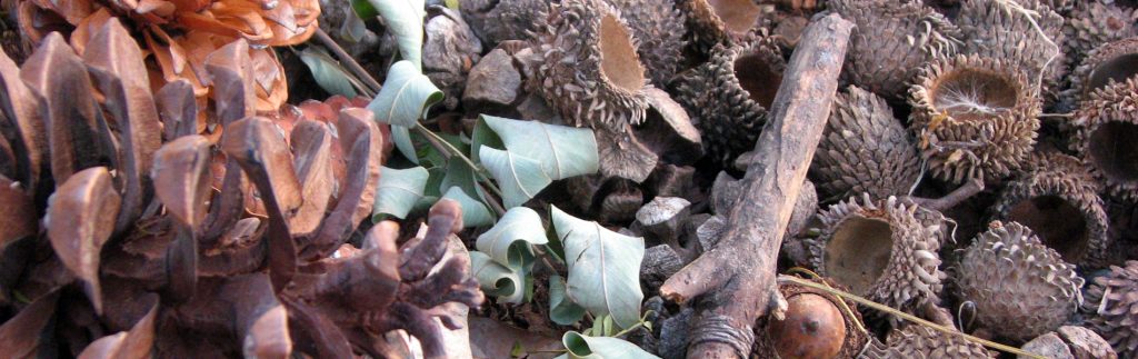 בניית אתרים