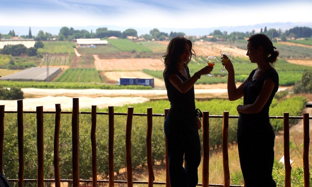 view-wine-good-1-1024x614